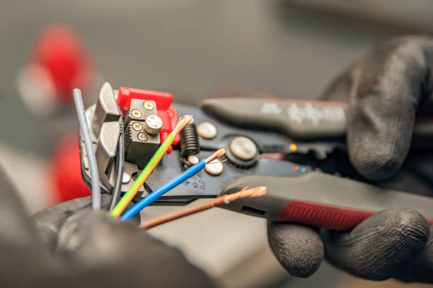 Best Local Electrician Companies  in Raubsville, PA