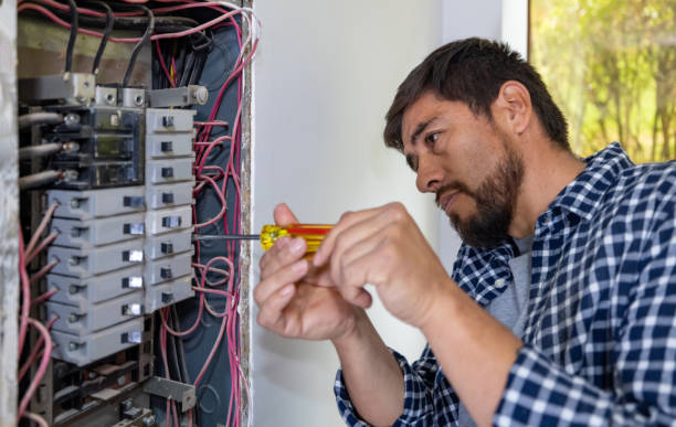 Best Electrician for Home Renovation  in Raubsville, PA